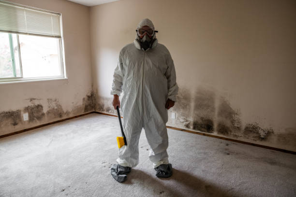 Best Mold Remediation Services  in China Spring, TX