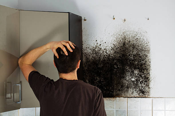 Best Certified Mold Removal  in China Spring, TX